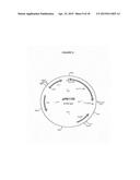 USE OF MODIFIED VASOACTIVE INTESTINAL PEPTIDES IN THE TREATMENT OF     HYPERTENSION diagram and image