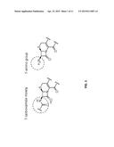 CEPHALOSPORIN COMPOSITIONS AND METHODS OF MANUFACTURE diagram and image