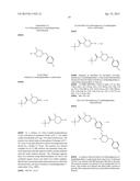 SULFONYL PIPERIDINE DERIVATIVES AND THEIR USE FOR TREATING PROKINETICIN     MEDIATED DISEASES diagram and image