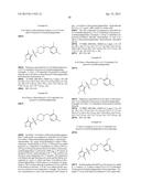 SULFONYL PIPERIDINE DERIVATIVES AND THEIR USE FOR TREATING PROKINETICIN     MEDIATED DISEASES diagram and image