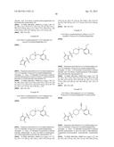 SULFONYL PIPERIDINE DERIVATIVES AND THEIR USE FOR TREATING PROKINETICIN     MEDIATED DISEASES diagram and image