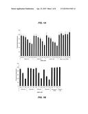 COMPOSITIONS AND METHODS FOR SILENCING EBOLA VIRUS GENE EXPRESSION diagram and image