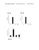 COMPOSITIONS AND METHODS FOR SILENCING EBOLA VIRUS GENE EXPRESSION diagram and image