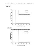 COMPOSITIONS AND METHODS FOR SILENCING EBOLA VIRUS GENE EXPRESSION diagram and image