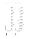 COMPOSITIONS AND METHODS FOR SILENCING EBOLA VIRUS GENE EXPRESSION diagram and image