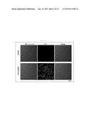 RNA-INTERFERENCE-INDUCING NUCLEIC ACID MOLECULE ABLE TO PENETRATE INTO     CELLS, AND USE THEREFOR diagram and image