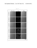 RNA-INTERFERENCE-INDUCING NUCLEIC ACID MOLECULE ABLE TO PENETRATE INTO     CELLS, AND USE THEREFOR diagram and image