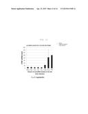 RNA-INTERFERENCE-INDUCING NUCLEIC ACID MOLECULE ABLE TO PENETRATE INTO     CELLS, AND USE THEREFOR diagram and image