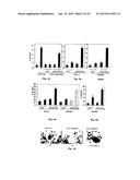 Modulator Compounds of Drug Resistance in Epithelial Tumor Cells diagram and image