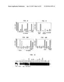 Modulator Compounds of Drug Resistance in Epithelial Tumor Cells diagram and image