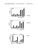 Modulator Compounds of Drug Resistance in Epithelial Tumor Cells diagram and image