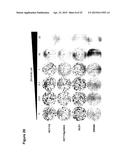 Modulator Compounds of Drug Resistance in Epithelial Tumor Cells diagram and image