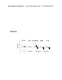 Modulator Compounds of Drug Resistance in Epithelial Tumor Cells diagram and image