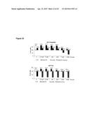 Modulator Compounds of Drug Resistance in Epithelial Tumor Cells diagram and image