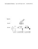 Modulator Compounds of Drug Resistance in Epithelial Tumor Cells diagram and image