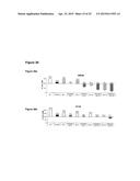 Modulator Compounds of Drug Resistance in Epithelial Tumor Cells diagram and image