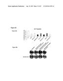 Modulator Compounds of Drug Resistance in Epithelial Tumor Cells diagram and image