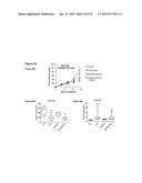 Modulator Compounds of Drug Resistance in Epithelial Tumor Cells diagram and image