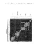 GENETIC MARKERS AND DIAGNOSTIC METHODS FOR RESISTANCE OF BREAST CANCER TO     HORMONAL THERAPIES diagram and image