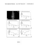 SMALL PEPTIDE SPECIFIC FOR LUNG CANCER AND APPLICATION THEREOF diagram and image