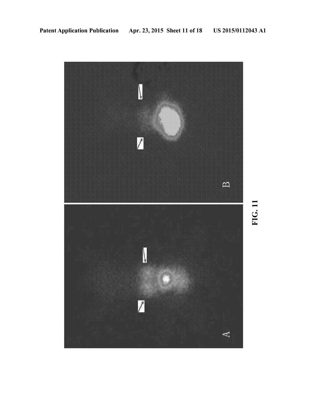 SMALL PEPTIDE SPECIFIC FOR LUNG CANCER AND APPLICATION THEREOF - diagram, schematic, and image 12