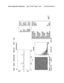 Palladium Catalyzed Reactions Executed on Solid-Phase Peptide Synthesis     Supports for the Production of Self-Assembling Peptides Embedded with     Complex Organic Electronic Subunits diagram and image