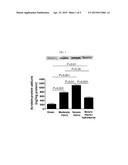 COMPOSITIONS AND USES THEREOF TO AMELIORATE PAIN diagram and image