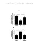 COMPOSITIONS AND USES THEREOF TO AMELIORATE PAIN diagram and image