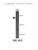 SYSTEM AND METHOD FOR ELECTROCARDIOGRAM ANALYSIS AND OPTIMIZATION OF     CARDIOPULMONARY RESUSCITATION AND THERAPY DELIVERY diagram and image