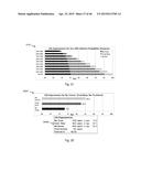 DYNAMIC ANALYSIS AND DYNAMIC SCREENING diagram and image