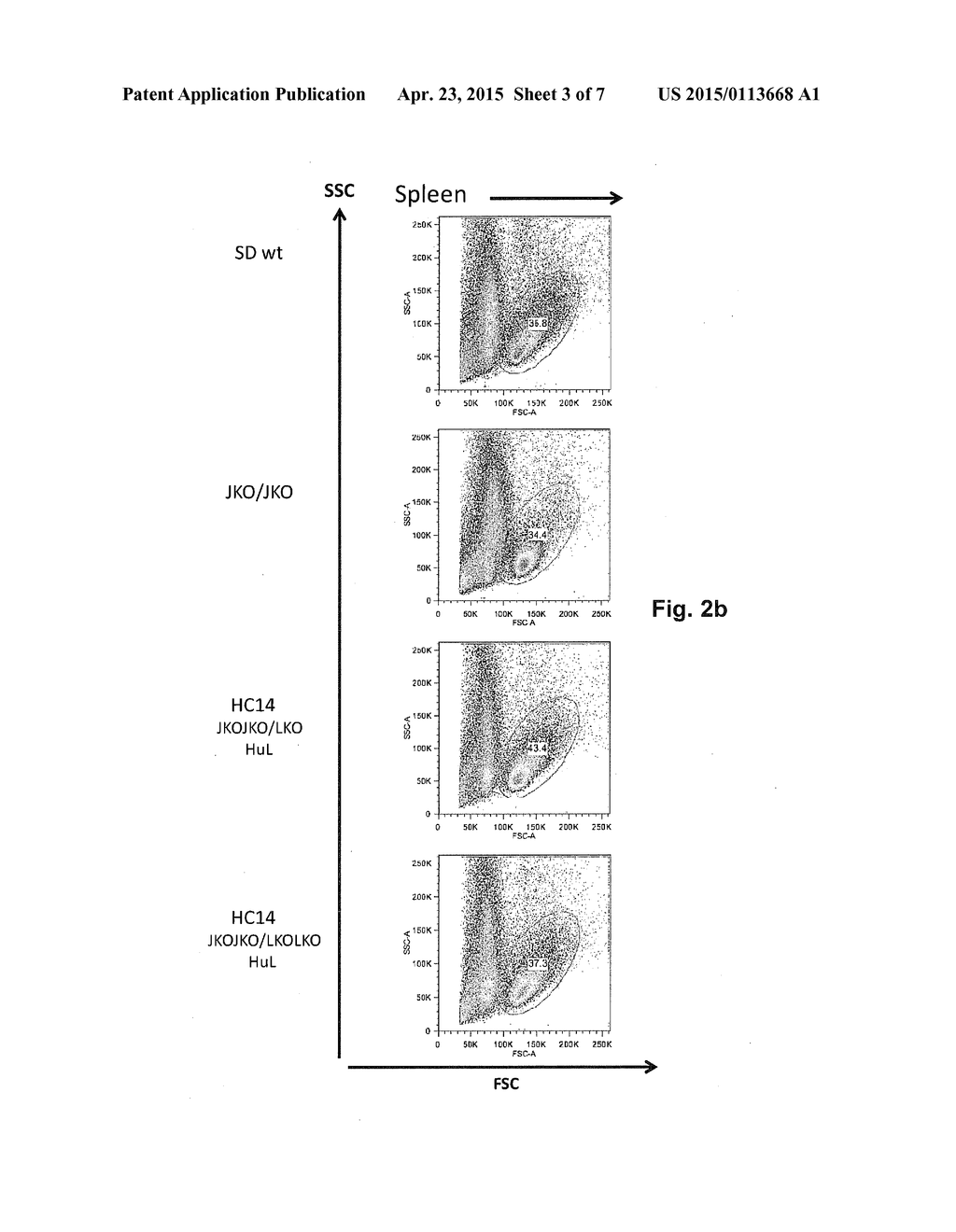 POLYNUCLEOTIDES ENCODING RODENT ANTIBODIES WITH HUMAN IDIOTYPES AND     ANIMALS COMPRISING SAME - diagram, schematic, and image 04