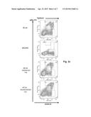 POLYNUCLEOTIDES ENCODING RODENT ANTIBODIES WITH HUMAN IDIOTYPES AND     ANIMALS COMPRISING SAME diagram and image