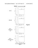 POLYNUCLEOTIDES ENCODING RODENT ANTIBODIES WITH HUMAN IDIOTYPES AND     ANIMALS COMPRISING SAME diagram and image