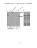 Methods and Compositions for Obtaining Useful Plant Traits diagram and image