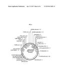 METHODS FOR PLANT TRANSFORMATION USING SPECTINOMYCIN SELECTION diagram and image