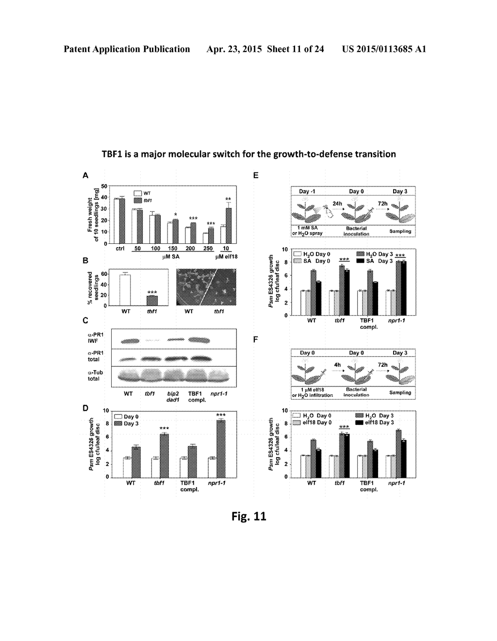 HSF-LIKE TRANSCRIPTION FACTOR, TBF1, IS A MAJOR MOLECULAR SWITCH FOR     GROWTH-TO-DEFENSE TRANSITION IN PLANTS - diagram, schematic, and image 12