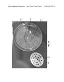 EYE WASH SYSTEM FOR EMERGENCY USAGE diagram and image