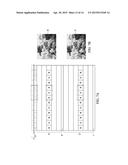 LIGHT EMITTING DEVICE diagram and image