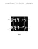 MEDICAL IMAGE DATA PROCESSING APPARATUS AND METHOD diagram and image