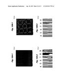 IMAGE PROCESSING APPARATUS diagram and image