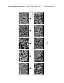 SEEDED SYNTHESIS OF ALUMINOSILICATE MOLECULAR SIEVES diagram and image