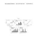 AFFINITY MATURED ANTI-CCR4 HUMANIZED MONOCLONAL ANTIBODIES AND METHODS OF     USE diagram and image
