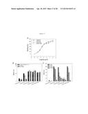 AFFINITY MATURED ANTI-CCR4 HUMANIZED MONOCLONAL ANTIBODIES AND METHODS OF     USE diagram and image