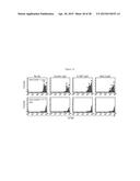 AFFINITY MATURED ANTI-CCR4 HUMANIZED MONOCLONAL ANTIBODIES AND METHODS OF     USE diagram and image