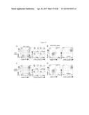 AFFINITY MATURED ANTI-CCR4 HUMANIZED MONOCLONAL ANTIBODIES AND METHODS OF     USE diagram and image