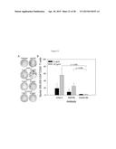 AFFINITY MATURED ANTI-CCR4 HUMANIZED MONOCLONAL ANTIBODIES AND METHODS OF     USE diagram and image