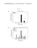 AFFINITY MATURED ANTI-CCR4 HUMANIZED MONOCLONAL ANTIBODIES AND METHODS OF     USE diagram and image