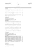 AFFINITY MATURED ANTI-CCR4 HUMANIZED MONOCLONAL ANTIBODIES AND METHODS OF     USE diagram and image