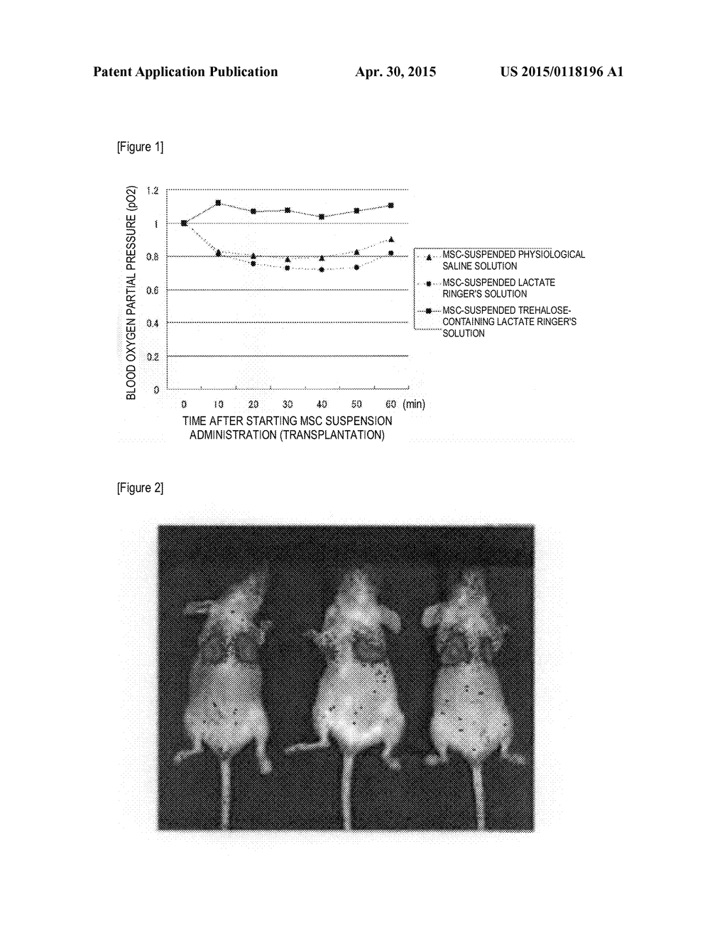 TREHALOSE-CONTAINING MAMMALIAN CELL SUSPENSION FOR PREVENTION OF PULMONARY     EMBOLISM FORMATION - diagram, schematic, and image 02