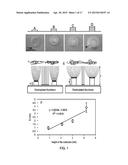 SCAFFOLD diagram and image